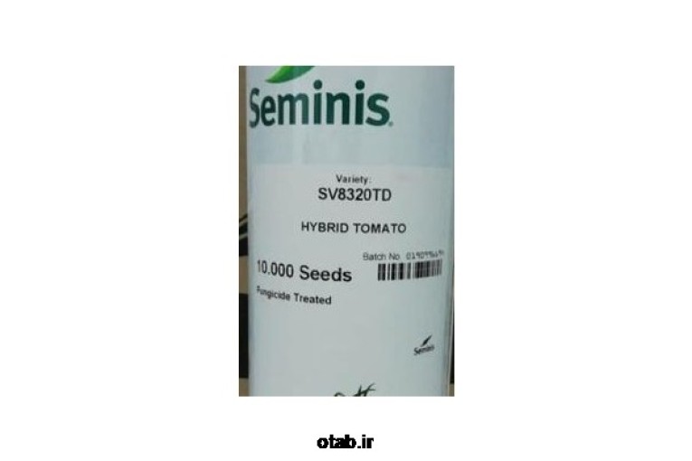 بذر گوجه فرنگی هیبرید 8320 سمینیس