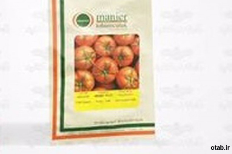 بذر گوجه فرنگی گلخانه ای هیراد  