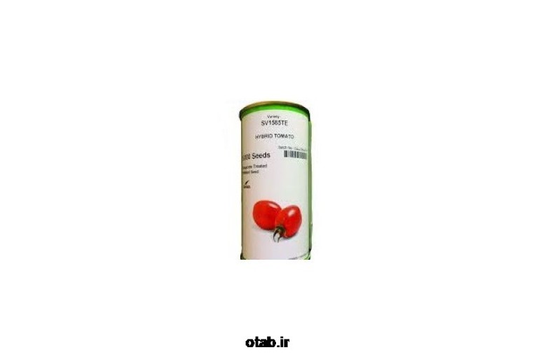 بذر گوجه فرنگی هیبرید 1585 سمینس