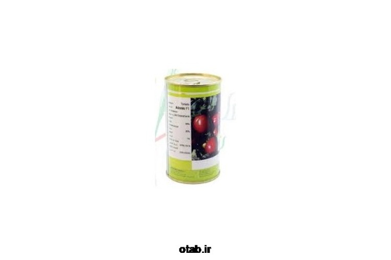 بذر گوجه فرنگی  آدونیس F1
