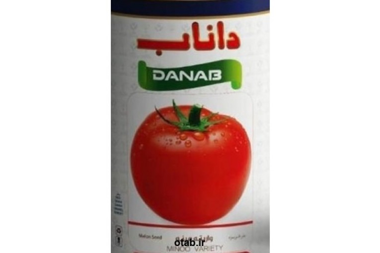 بذر گوجه فرنگی البرز داناب 