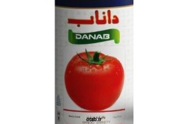 بذر گوجه فرنگی البرز داناب 