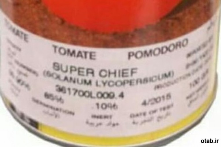 بذر گوجه فرنگی سوپر چف (Super Chief Tomato 