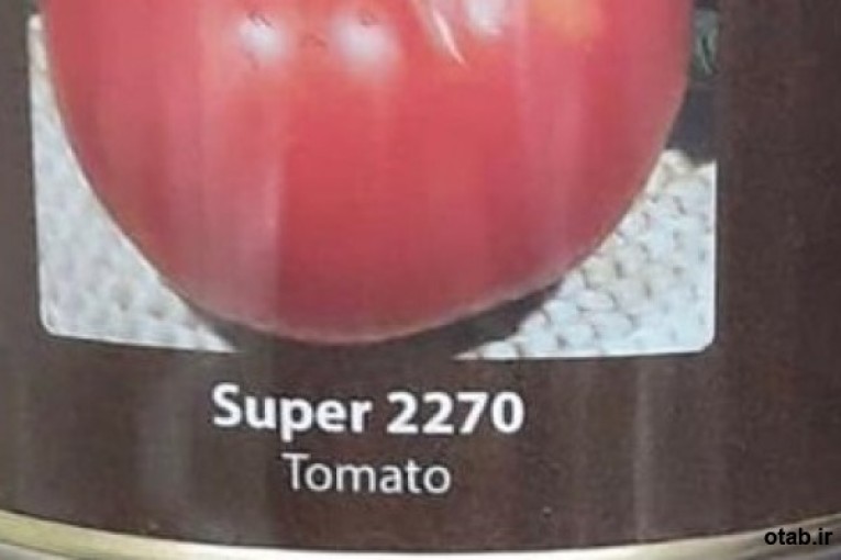 بذر گوجه فرنگی سوپر 2270 کانیون