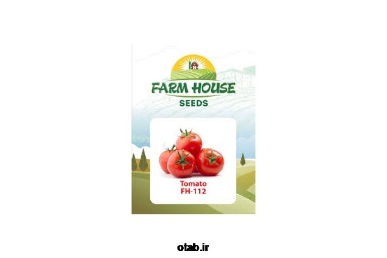 بذر گوجه فرنگی RFT 112