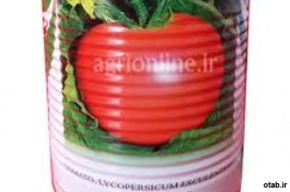 بذر گوجه فرنگی موبيل