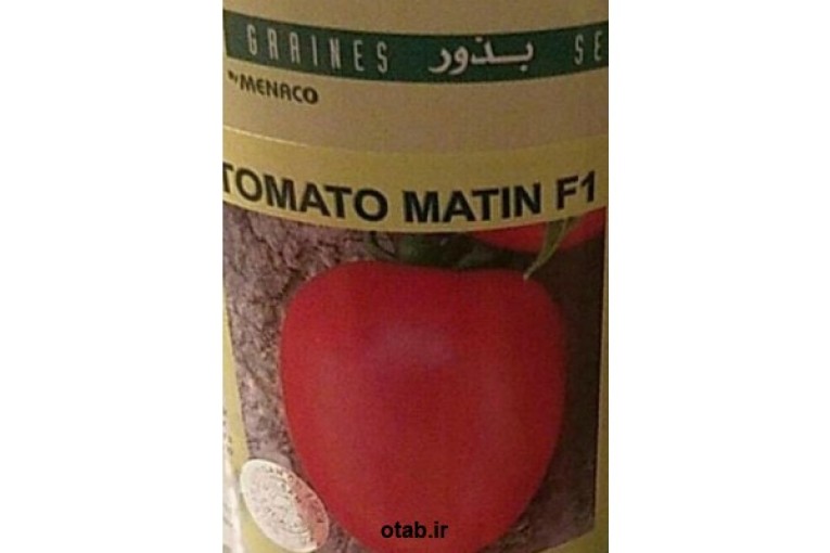   بذرگوجه فرنگی بذر گوجه متین