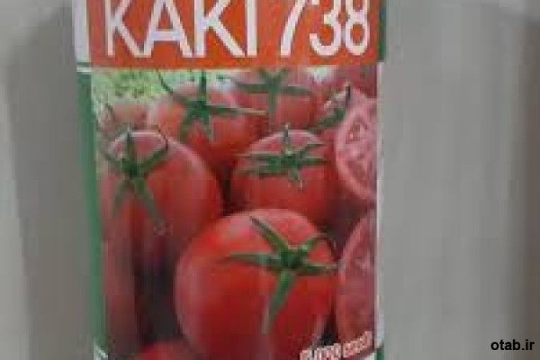 بذر گوجه کاکی ۷۳۸