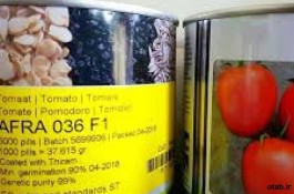 بذر گوجه فرنگی افرا ۰۳۶ 