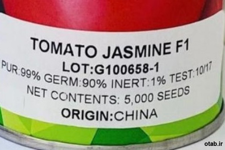 بذر گوجه فرنگی جاسمینf1