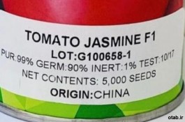 بذر گوجه فرنگی جاسمینf1