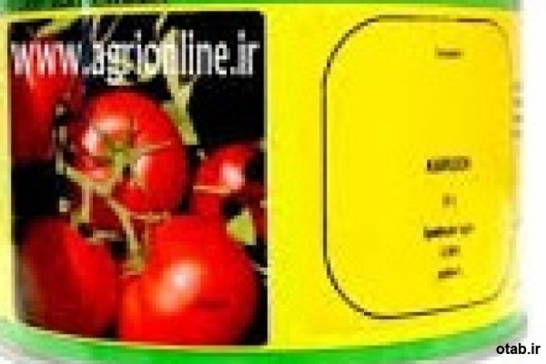 بذر گوجه فرنگی هیبرید سهند