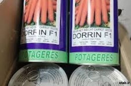 بذر هویج نانتس دورینf1