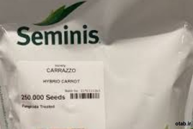 بذر هویج کارازو سیمینس