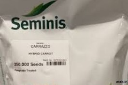 بذر هویج کارازو سیمینس