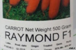بذر هویج رایموندf1