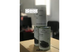 بذر خیار پی ایکس 8306،px 