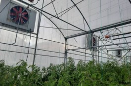 سرماسان کولر آبی تبخیری
