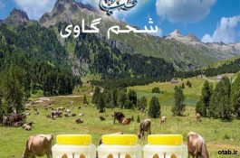 روغن شحم گاوی (1) کیلوی اعلاء