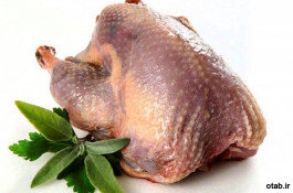 دستگاه پرکن 