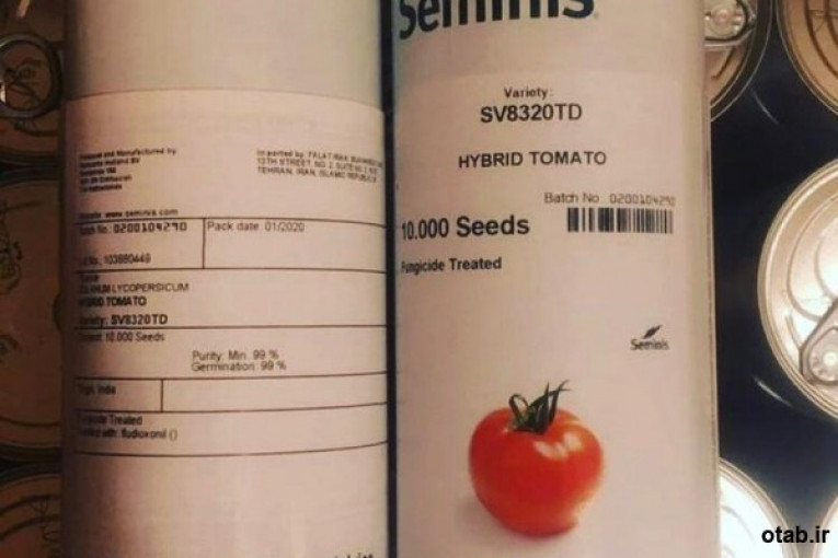 فروش بذر گوجه فرنگی هیبرید 8320 سمینیس