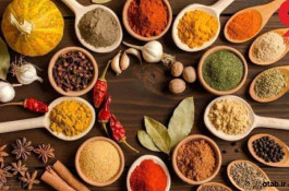 فروش اسیاب پیشرفته کیافارم 
