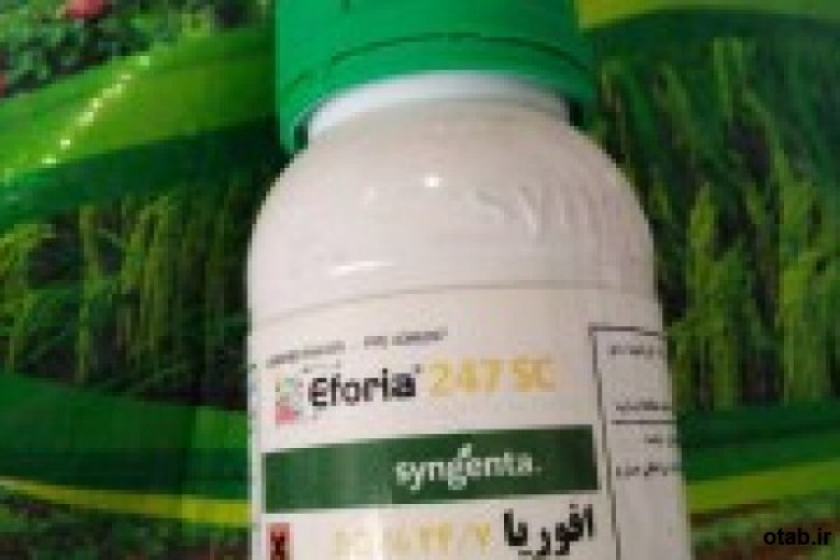  فروش سم قارچ کش افوریا