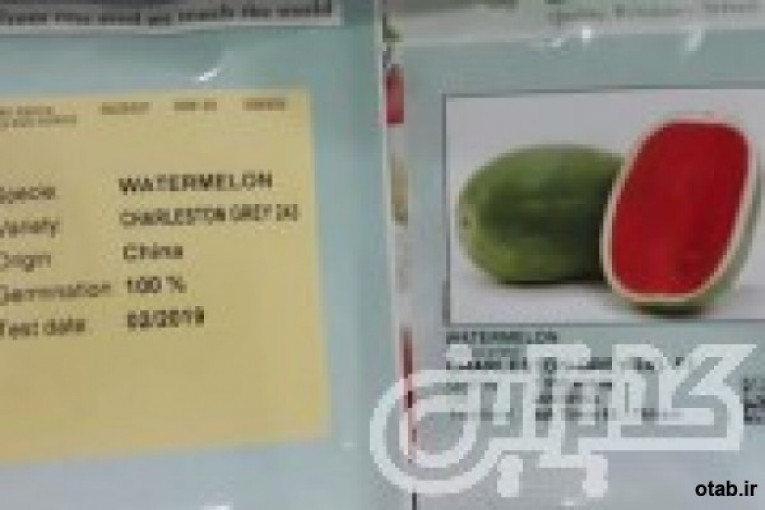 بذر هندوانه چارلستون