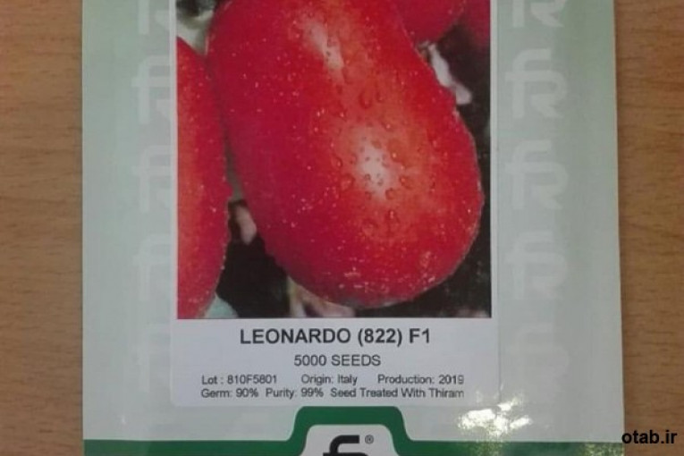 خرید بذر گوجه فرنگی پرمحصول لئوناردو 