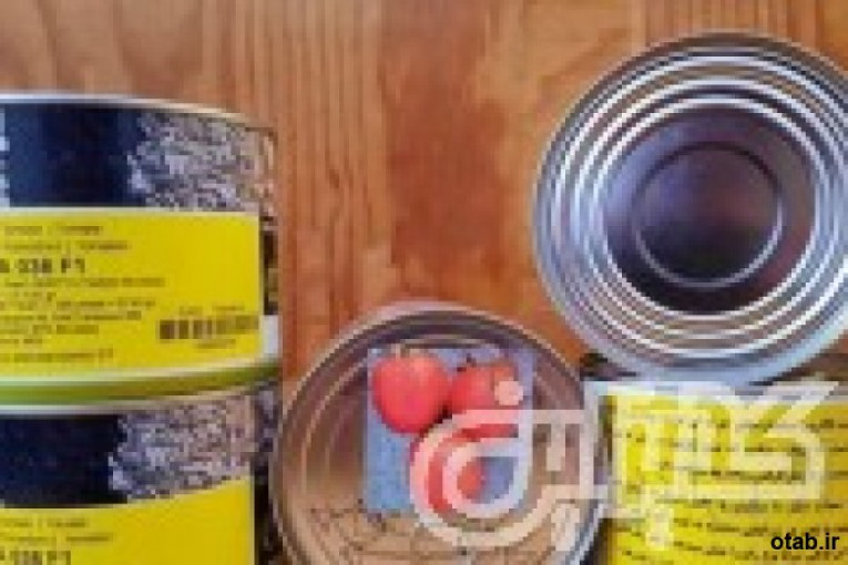 فروش بذر گوجه افرا