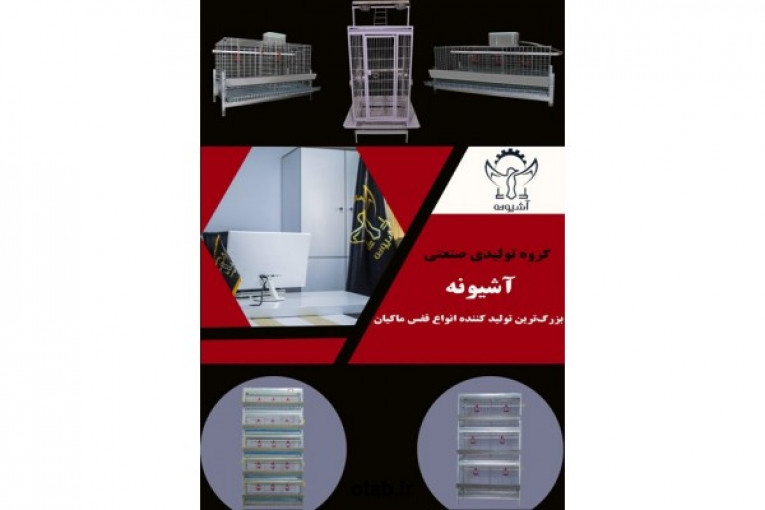 پرورش مرغ بومی گوشتی تخمگذار بلدرچین