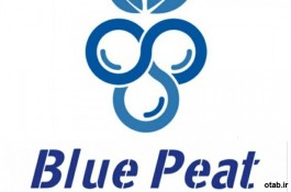 بسترکشت بلوری بلوپیت BluePeat