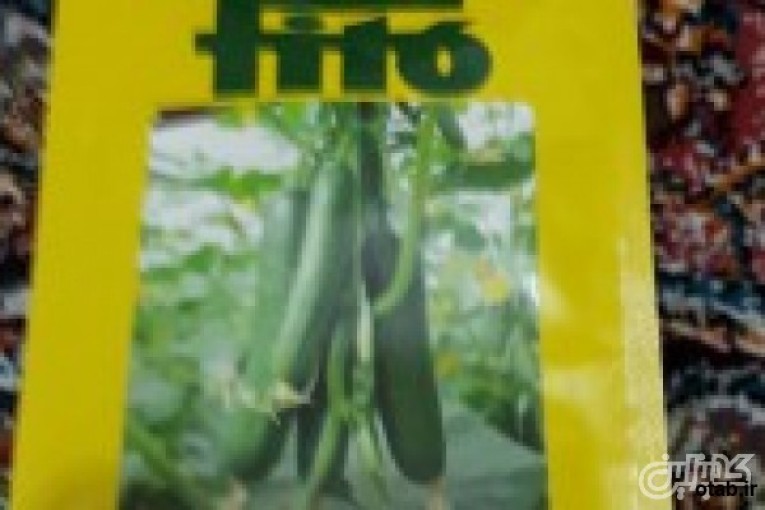 بذرخیار کادیر