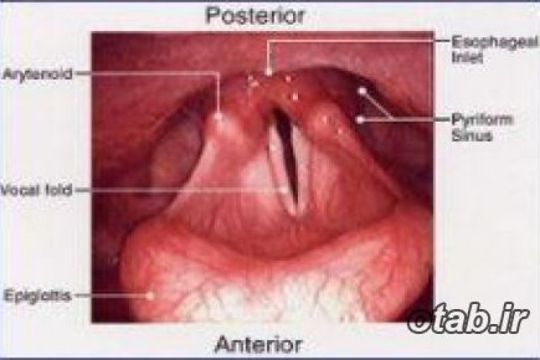 کلينيک بيماريهاي صدا، صوت حرفه اي و درمان فيزيکي بيماريهاي حنجره دکتر صالحي