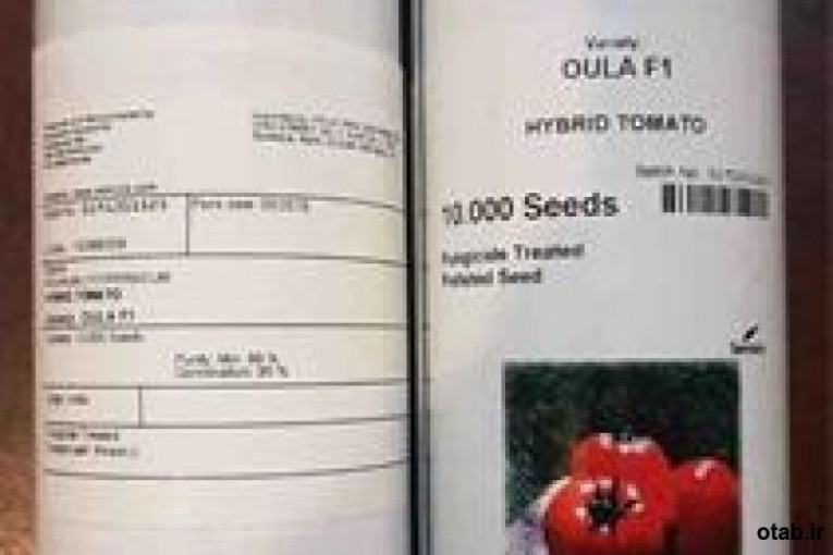فروش ارزان بذر گوجه اولا
