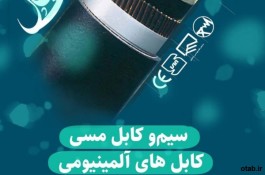 کابل برق با عایق و روکش لاستیک (تک رشته) از مقطع ۱,۵×۱ الی ۳۰۰×۱