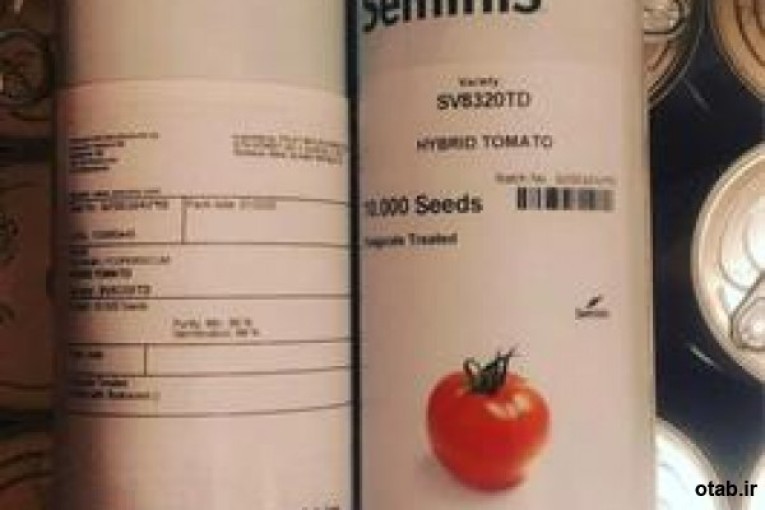 فروش ارزان بذر گوجه فرنگی هیبرید ۸۳۲۰سمینیس  ارزان