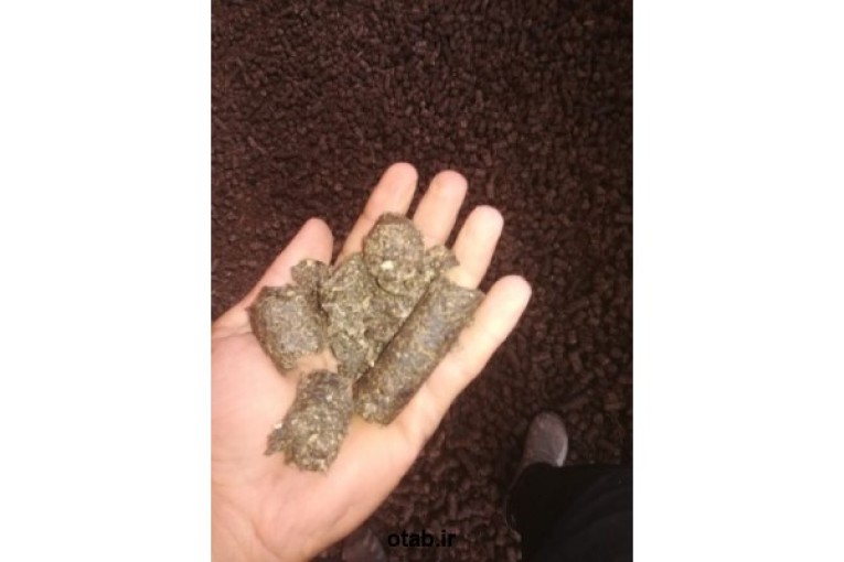 بازرگانی خوراک دام 