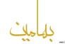 طراحی سایت با بهامین وردپرس>