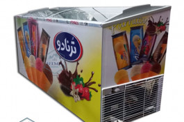 قیمت یخچال بستنی ریماسرما