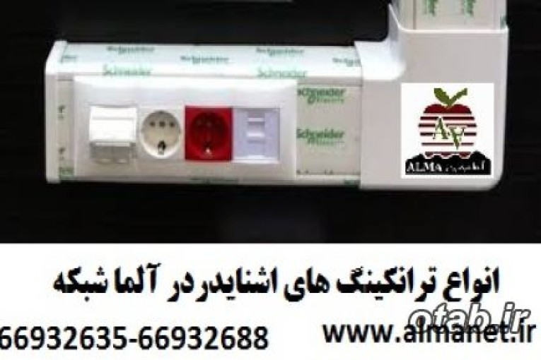 آلما شبکه ارائه کننده ترانکینگ 150*50 میلیمتر اشنایدر || 66932635