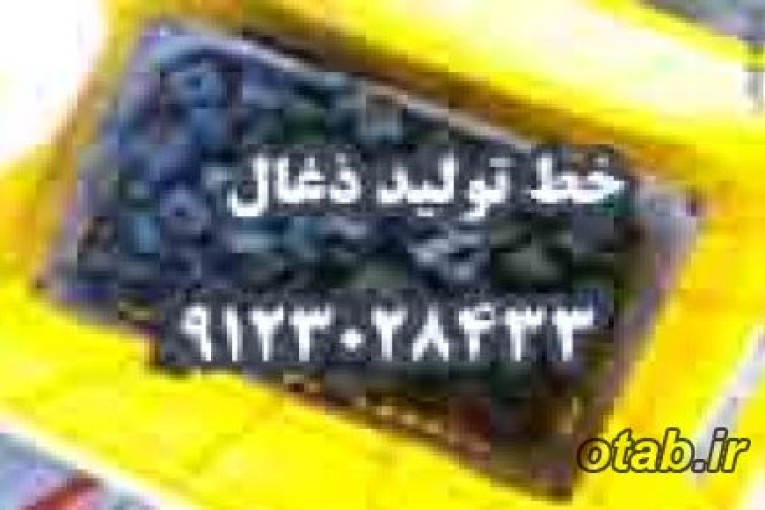  راه اندازي خط توليد ذغال